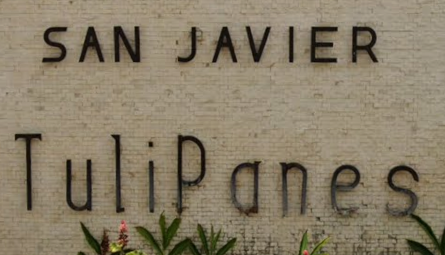 San Javier Tulipanes